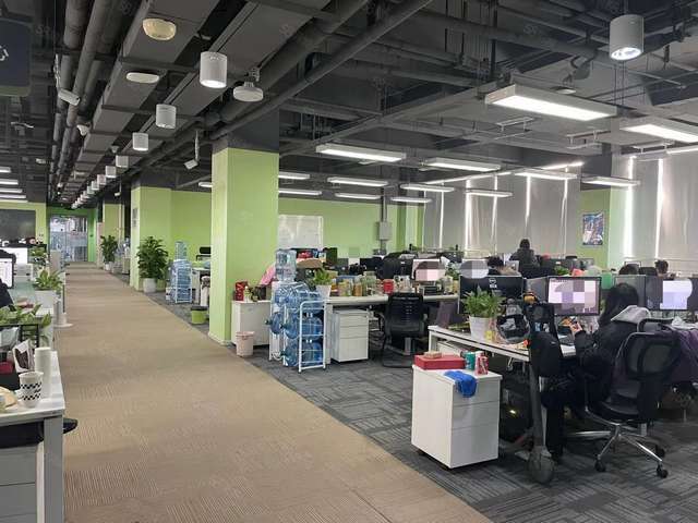 浙江定制塑料绿植实力大厂